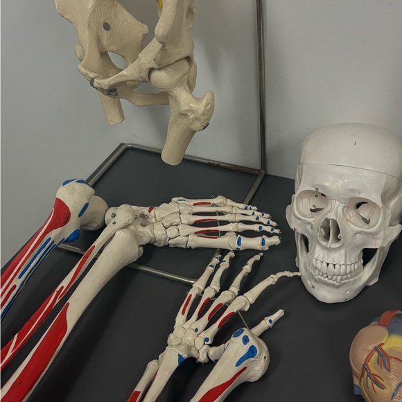 Meet the Posher 🦋 - Picture 4 of 5